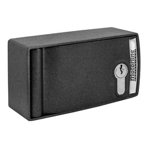 CSV100